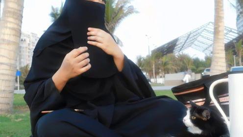 娱乐吃瓜君妈宝男