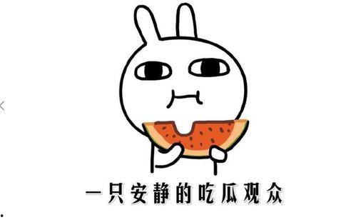 网上吃瓜什么意思,揭秘“吃瓜”背后的网络文化现象